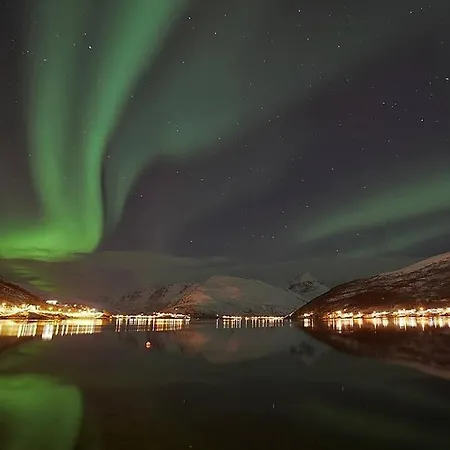 Perfect Place For Tromso Holiday Apartment *